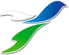 MSPSO
